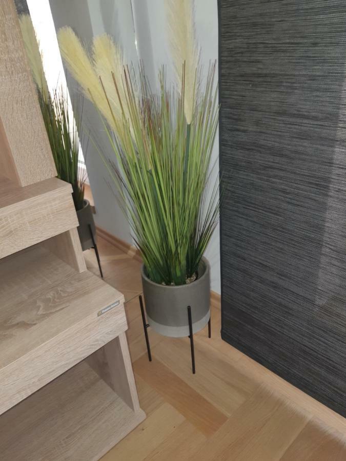 זאגרב Apartment With Garage Lavici מראה חיצוני תמונה